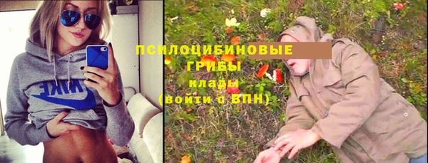 apvp Абинск